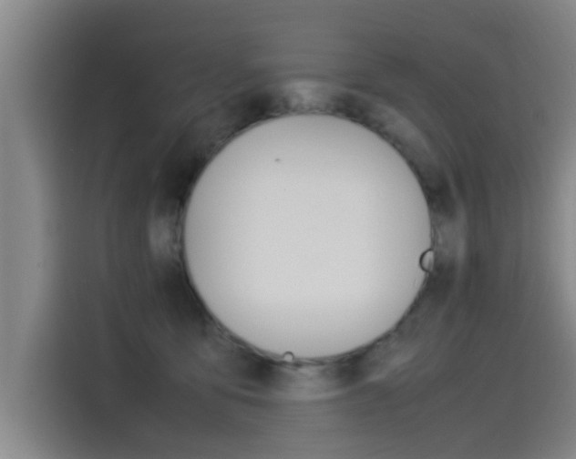 X0000115510419200911061007