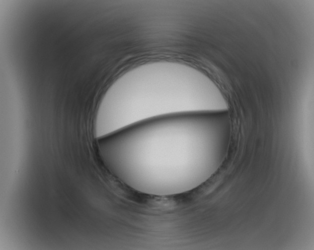 X0000115510421200911061007