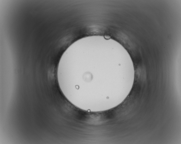 X0000115510423200911061007
