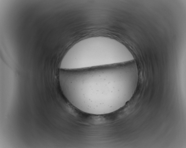 X0000115510424200911061007