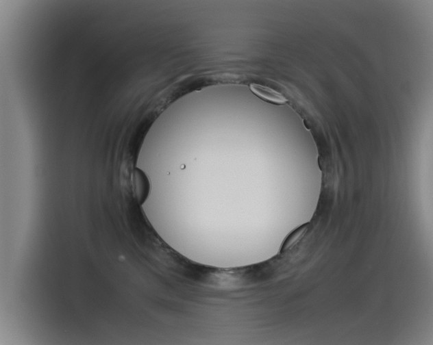 X0000115510425200911061007