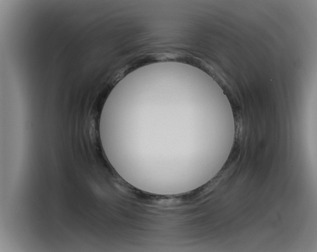 X0000115510426200911061007