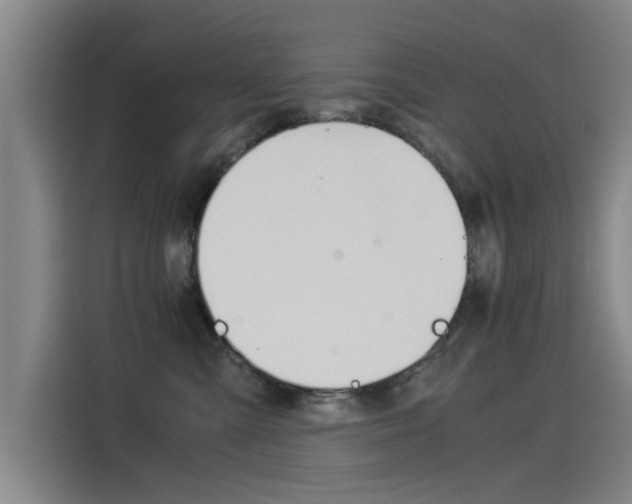X0000115510427200911061007