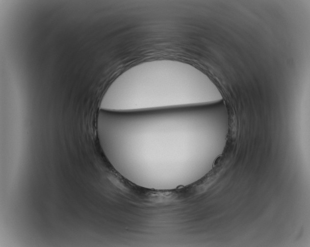X0000115510428200911061007