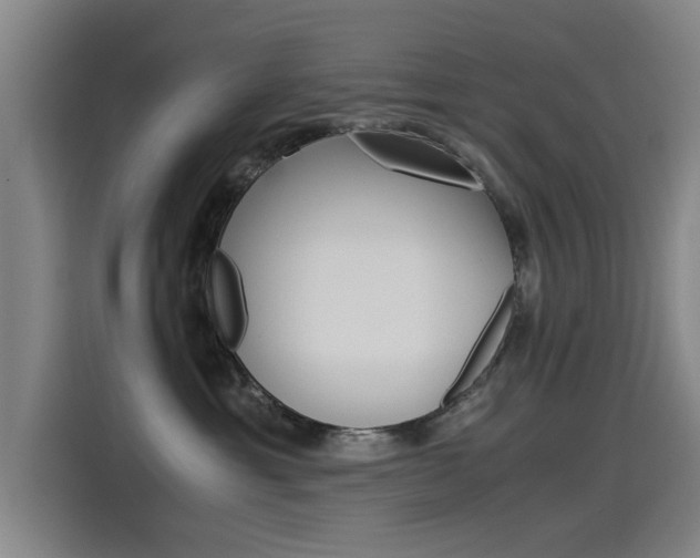 X0000115510429200911061007