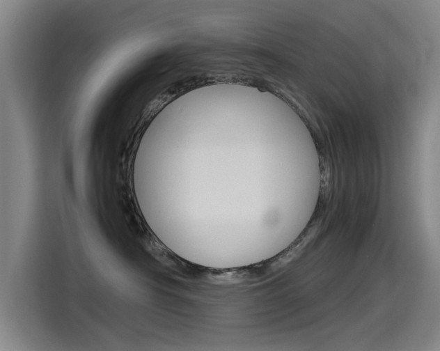 X0000115510430200911061007