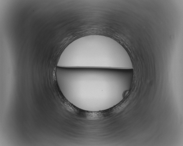 X0000115510432200911061007