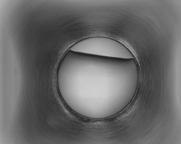 X0000115510433200911061006