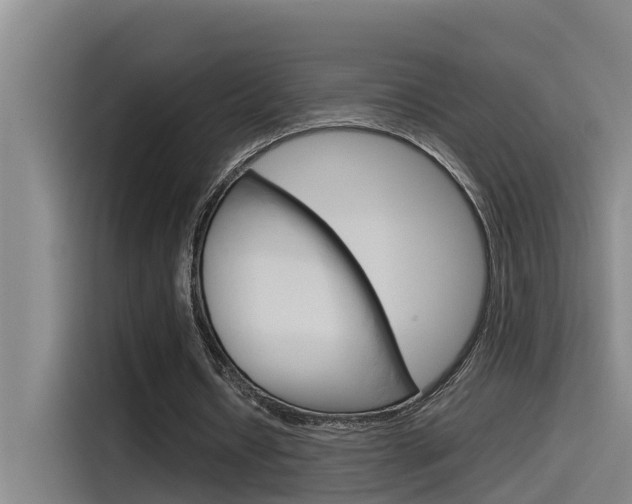 X0000115510434200911061006