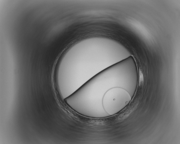 X0000115510435200911061006