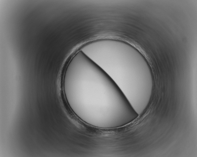 X0000115510438200911061006