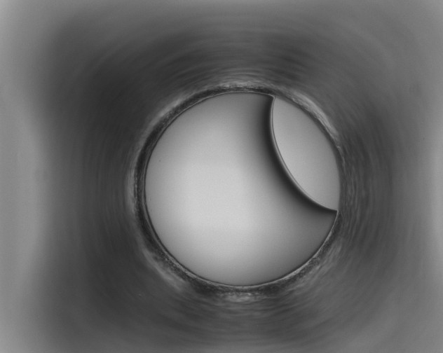 X0000115510439200911061006