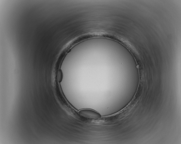 X0000115510440200911061006