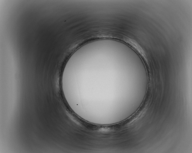 X0000115510441200911061006