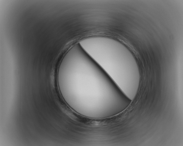 X0000115510442200911061006