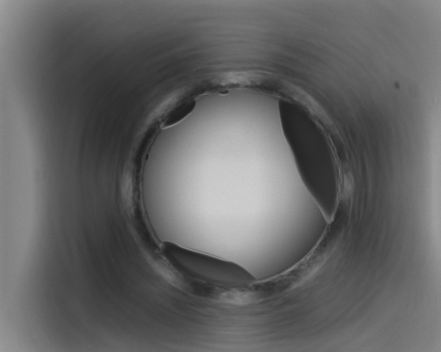X0000115510444200911061006