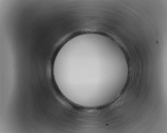 X0000115510446200911061006