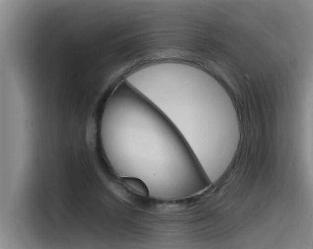 X0000115510448200911061006