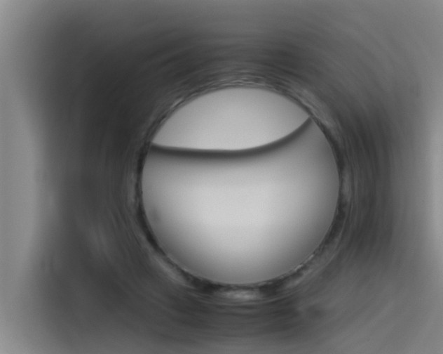 X0000115510449200911061006