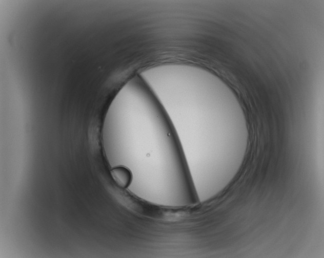 X0000115510450200911061006