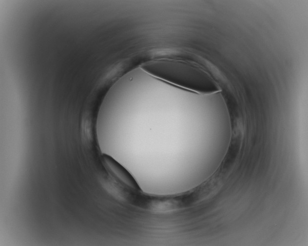 X0000115510452200911061006