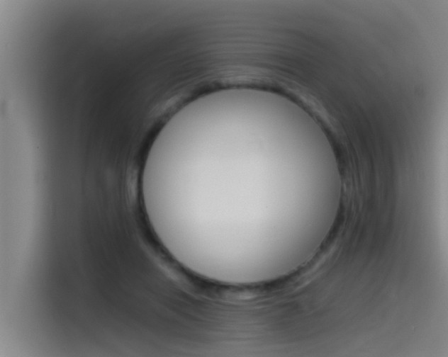 X0000115510454200911061006