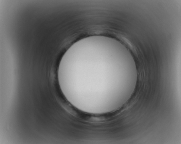X0000115510455200911061006