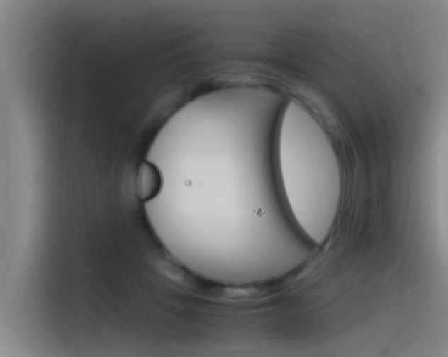 X0000115510457200911061006