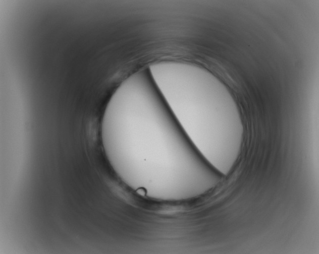 X0000115510458200911061006