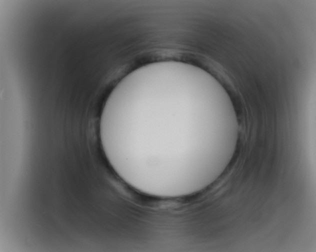 X0000115510462200911061006