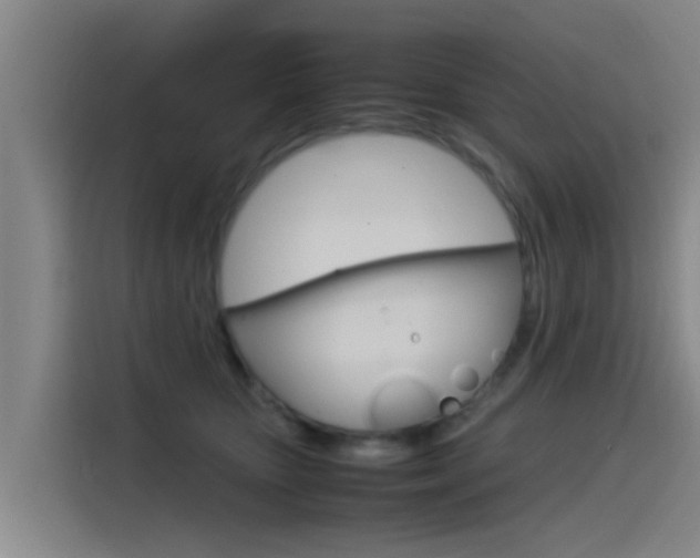 X0000115510467200911061006