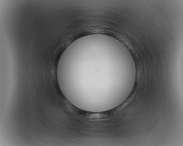 X0000115510473200911061007