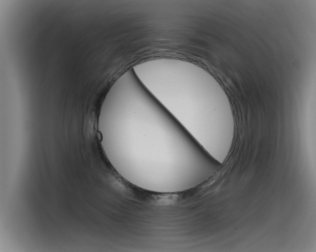 X0000115510474200911061007