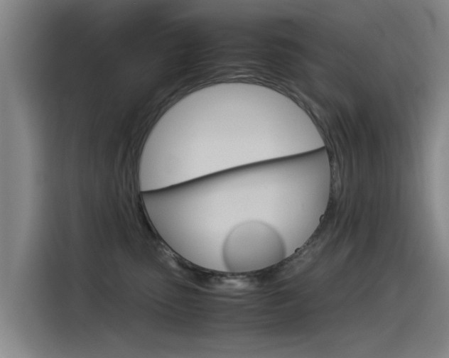 X0000115510475200911061007