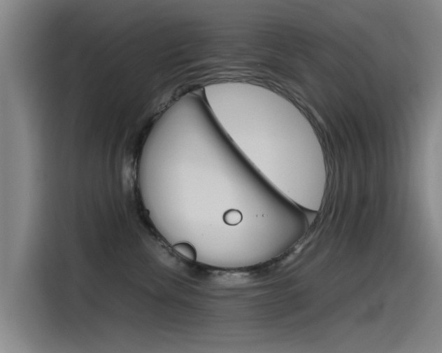 X0000115510476200911061007