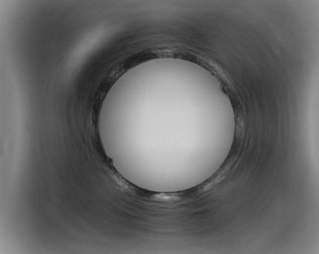 X0000115510477200911061007
