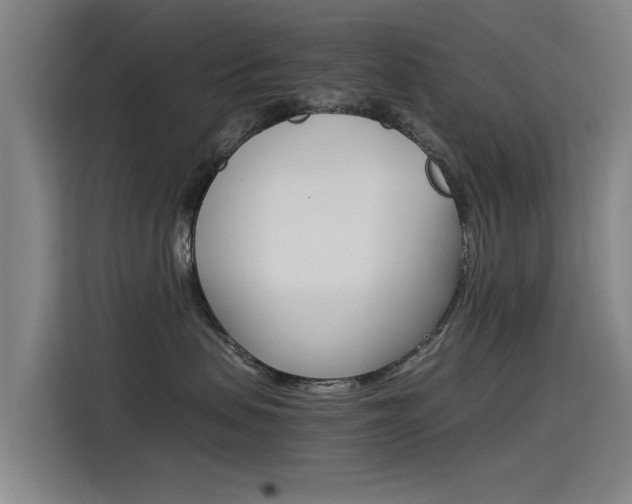 X0000115510479200911061007