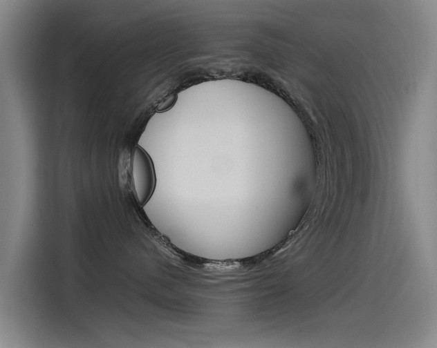 X0000115510480200911061007