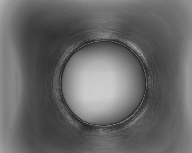 X0000115510481200911061006