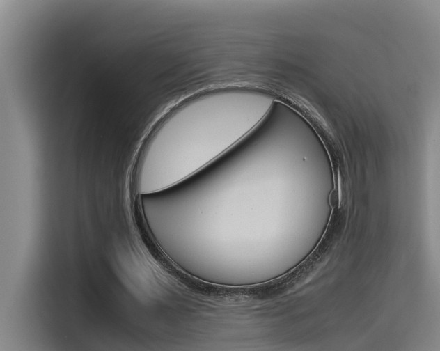 X0000115510483200911061006