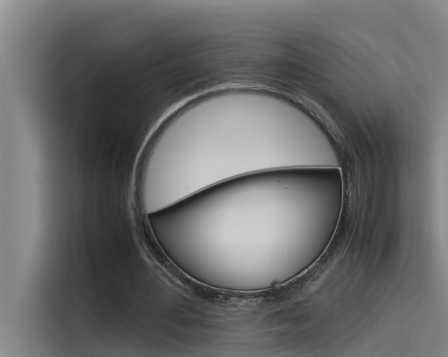 X0000115510484200911061006