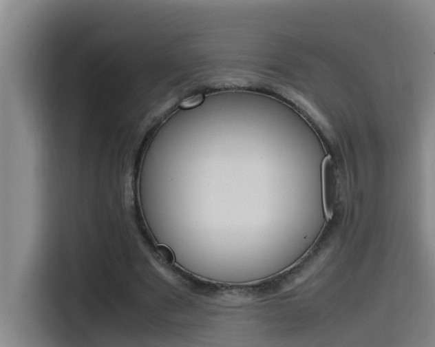 X0000115510489200911061006