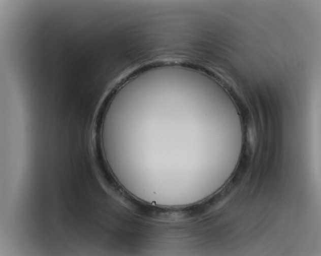 X0000115510492200911061006
