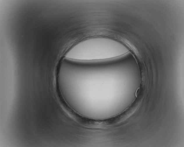 X0000115510493200911061006