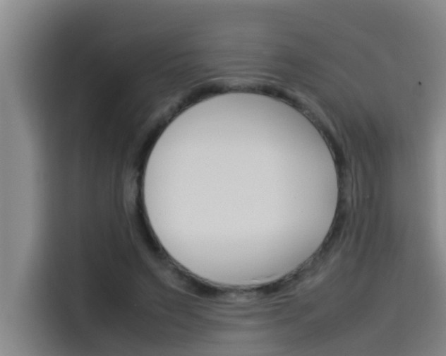 X0000115510495200911061006