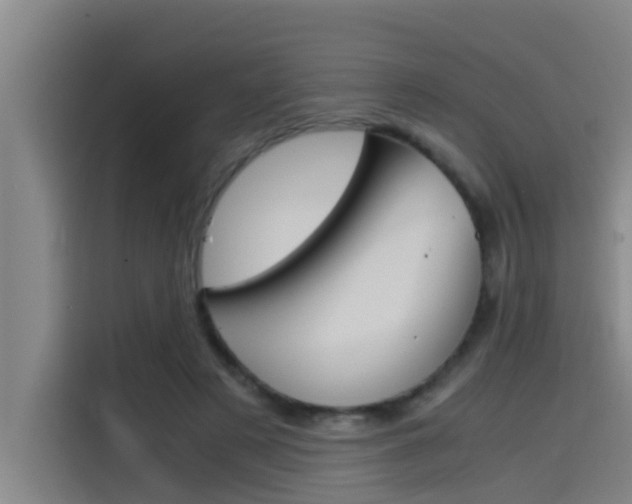 X0000115510497200911061006