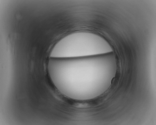 X0000115510500200911061006