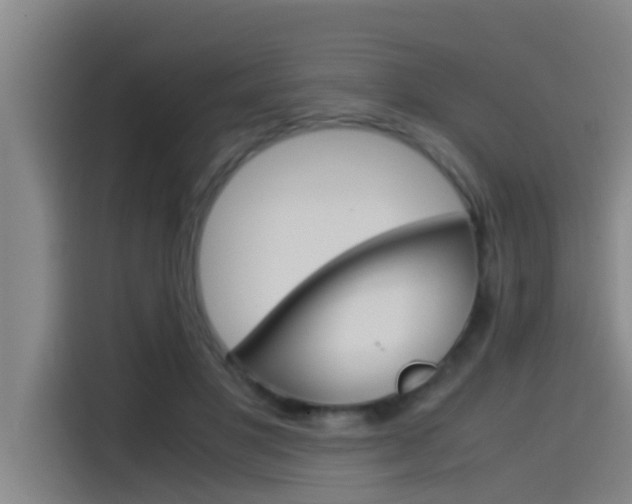 X0000115510501200911061006