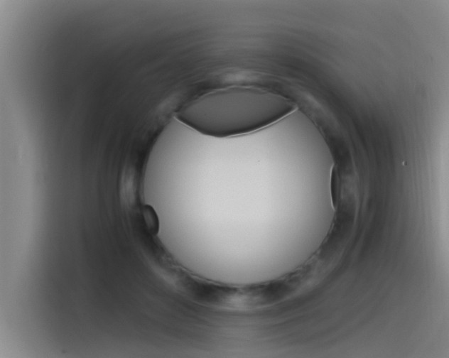 X0000115510504200911061006