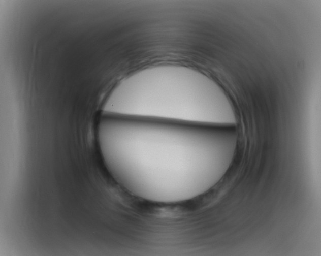 X0000115510508200911061006